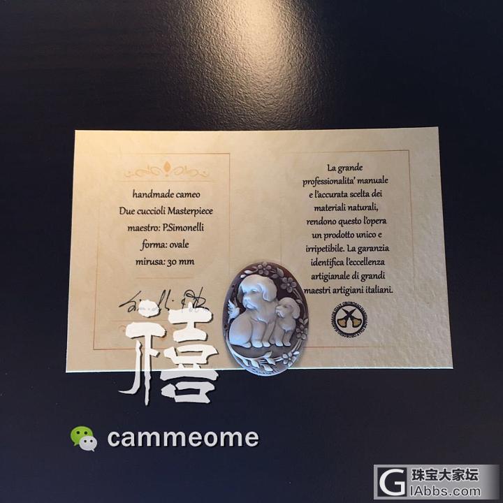 simonelli大师，小狗父子，爆可爱的小狗贝雕cameo_贝壳