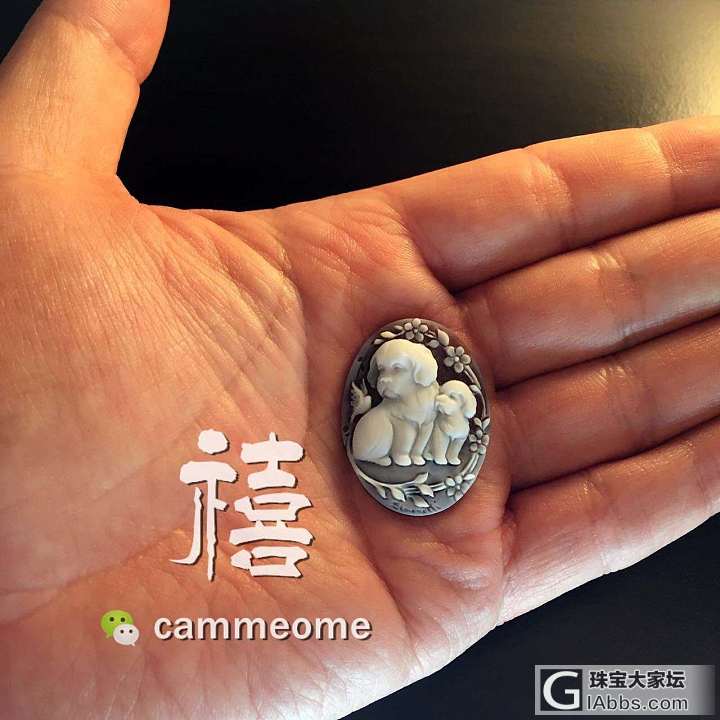 simonelli大师，小狗父子，爆可爱的小狗贝雕cameo_贝壳