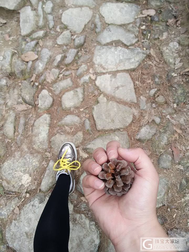 爬山，风景好好_旅游