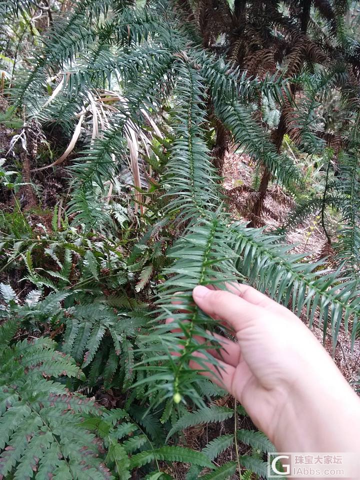 爬山，风景好好_旅游