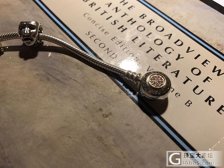 重入潘多拉魔坑—two tone 蛇骨链_潘多拉手链925银