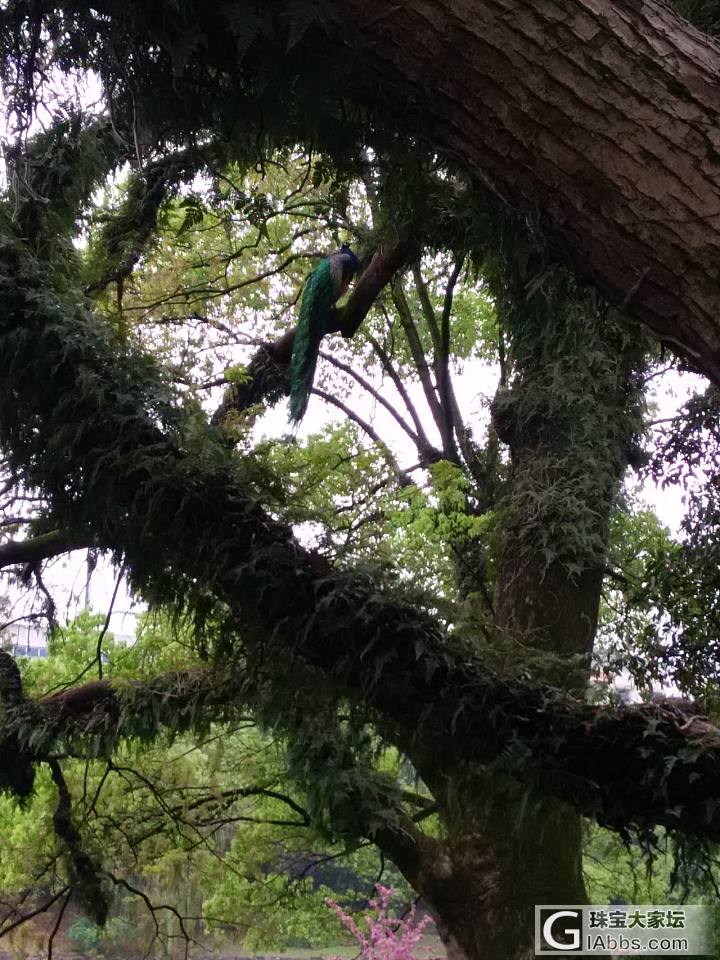 雨后的东湖公园_旅游