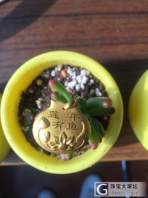 秀个小双鱼_金吊坠