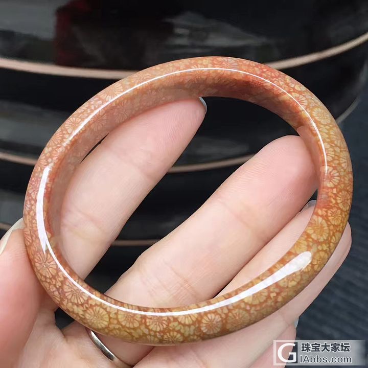 大爱的珊瑚玉_珊瑚玉手镯