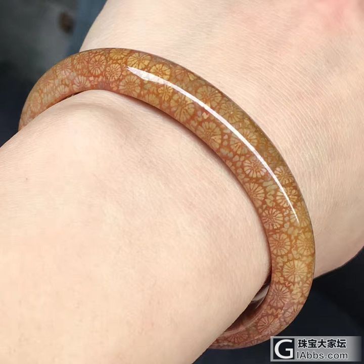 大爱的珊瑚玉_珊瑚玉手镯