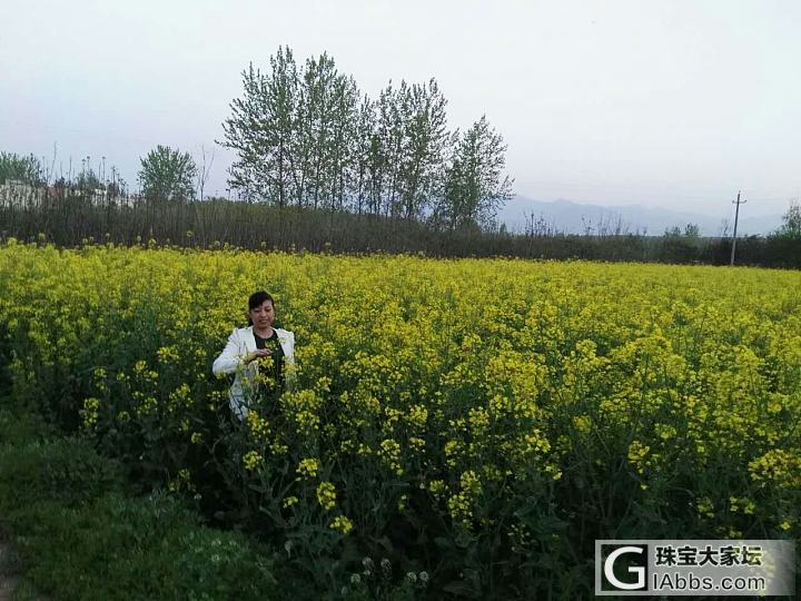 今天天气不错_旅游闲聊