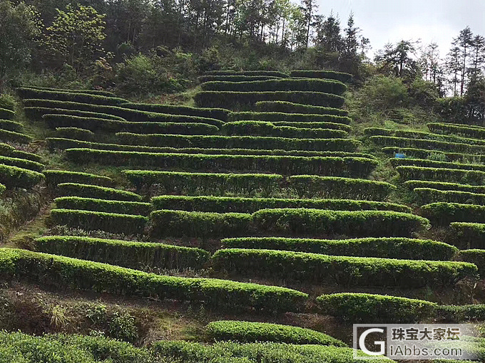 周末亲子游，晒晒太阳出出汗_旅游育教亲子