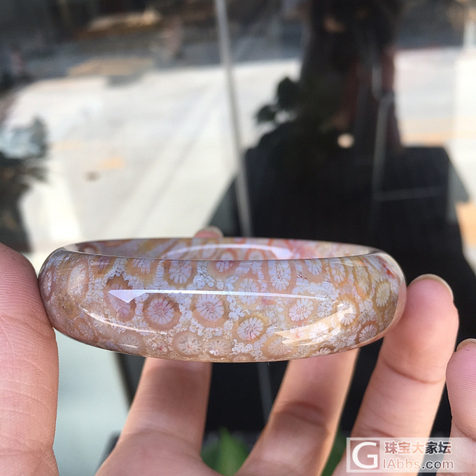 珊瑚玉手镯_珊瑚玉