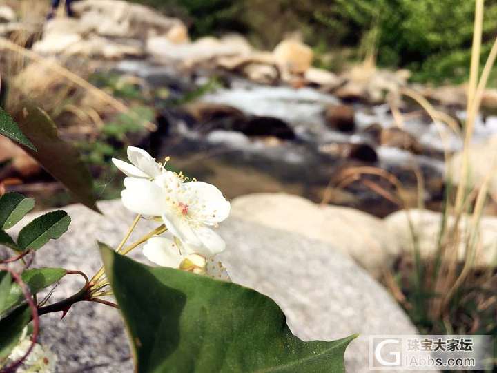 就是任性 把工作暂搁一边 来一次说走就走的出游_旅游