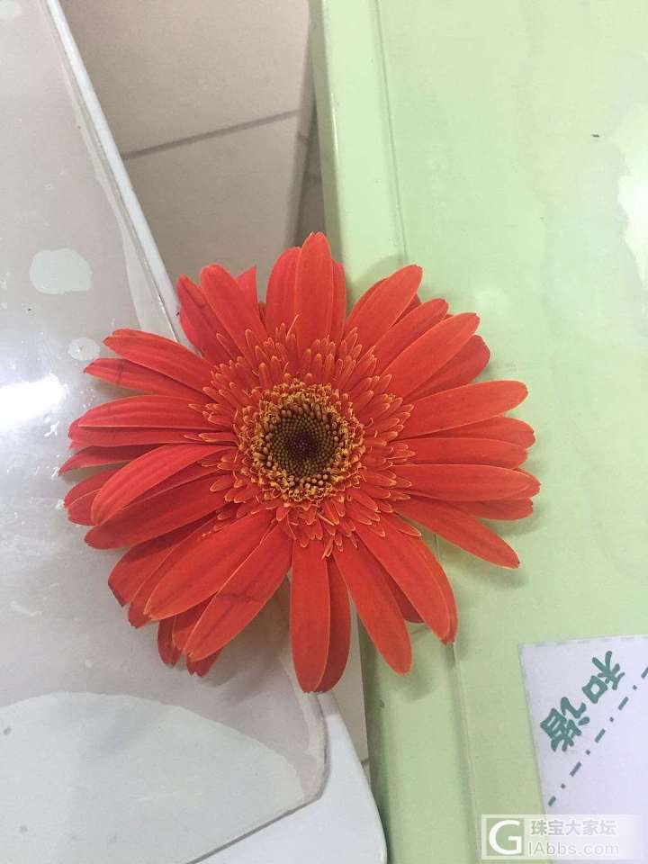 花戒_花