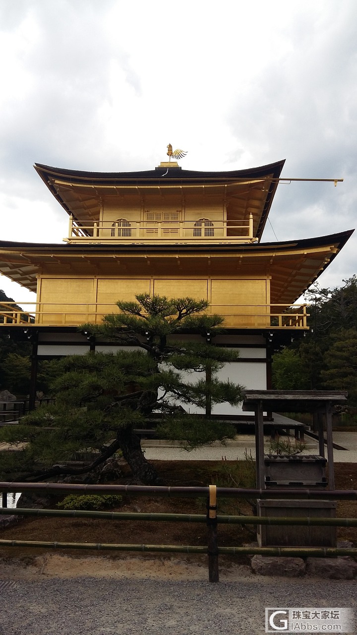 不知道一休哥，小燕子在哪里。_日本旅游