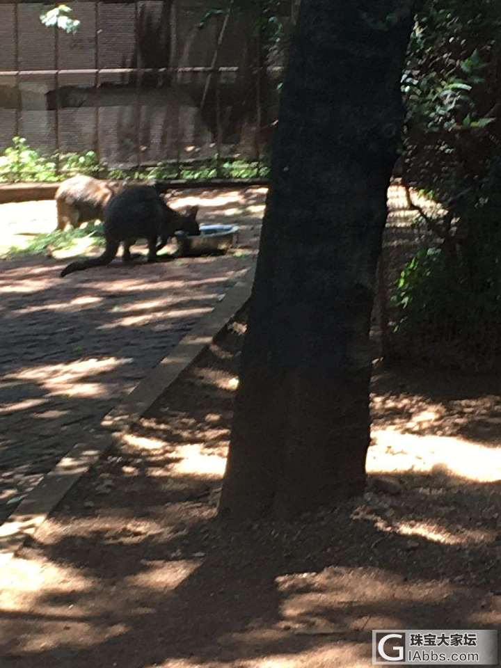 回忆童年_旅游