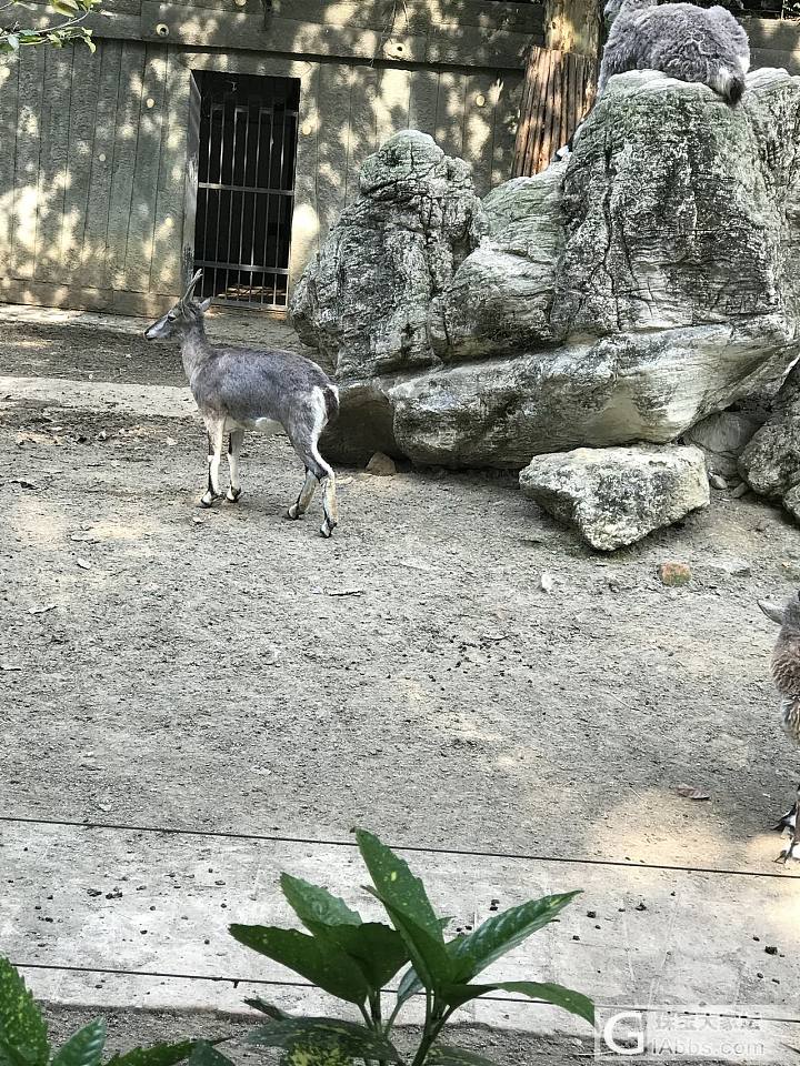 回忆童年_旅游