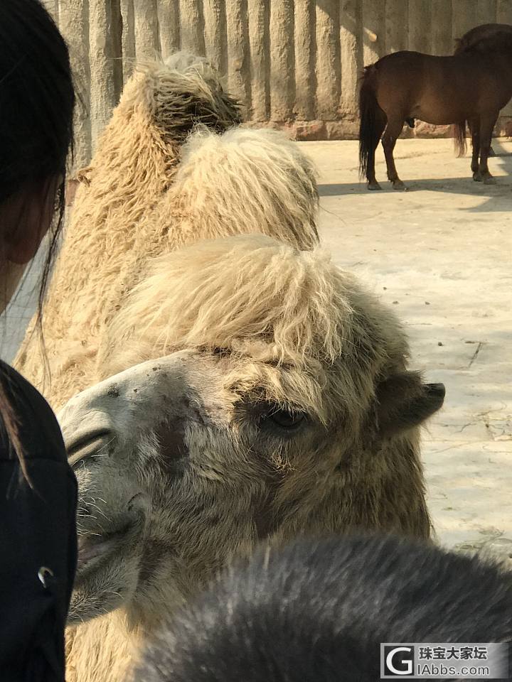 回忆童年_旅游