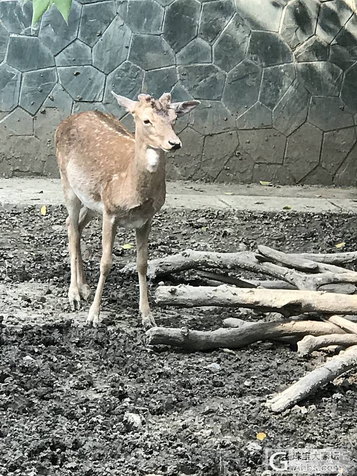 回忆童年_旅游