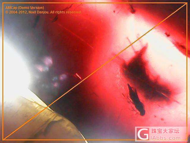 我了个去？血珀开出来个虫啊_虫珀