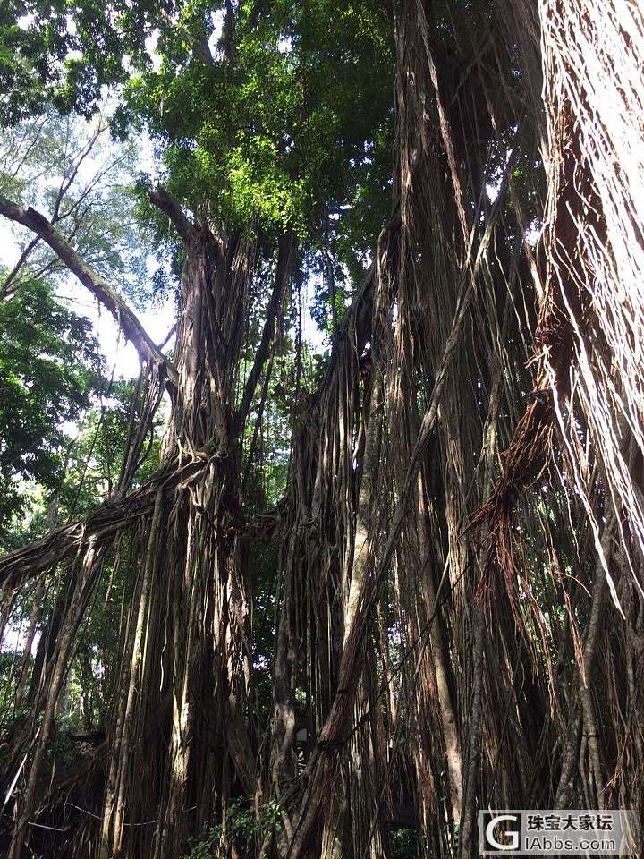 分享美好 巴厘岛之行_旅游