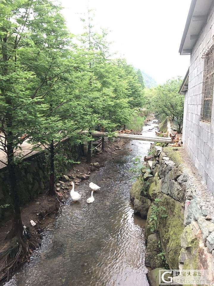 今天乡下一日游_旅游