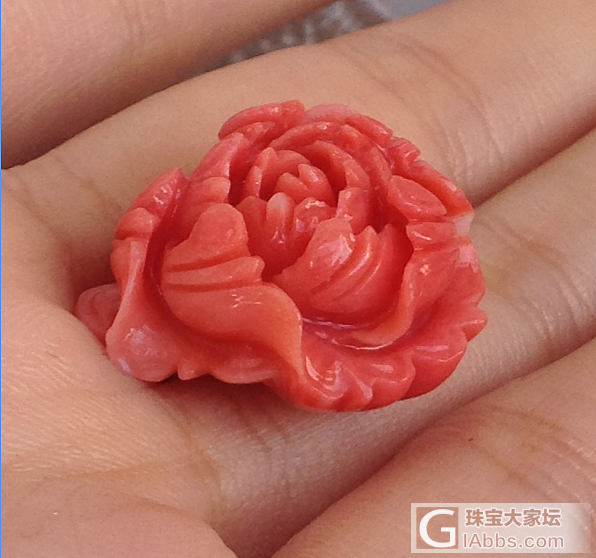 纯天然台湾莫莫红珊瑚牡丹花雕刻件 完美品相 雕刻细腻 淘宝交易_挂件珊瑚