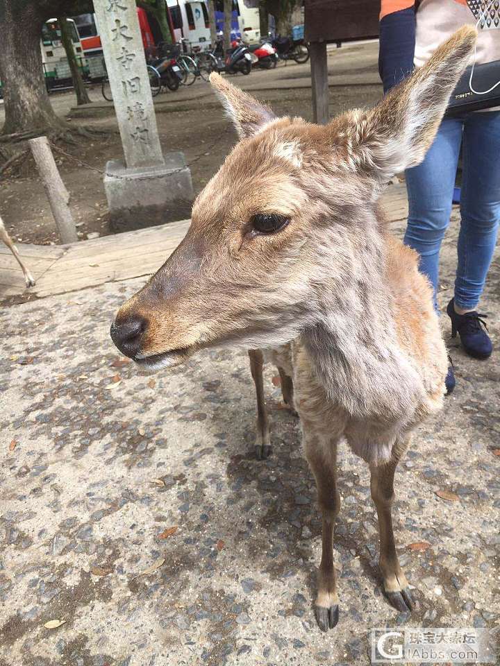 大阪第一天奥莱_日本旅游