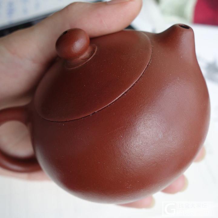 经济适用茶器之朱泥西施_紫砂茶具