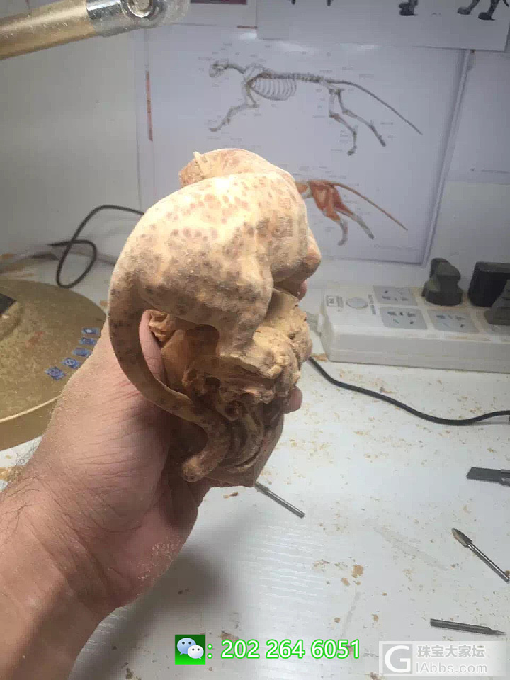 史上最强手工制作,不服来辩!_崖柏木雕