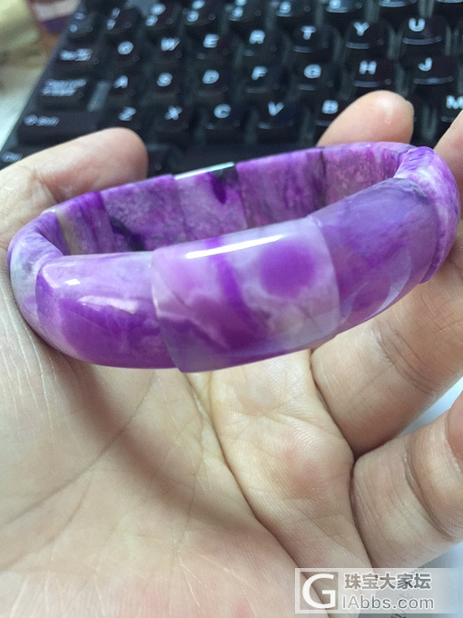 老料舒俱来-樱花树下_手排舒俱来