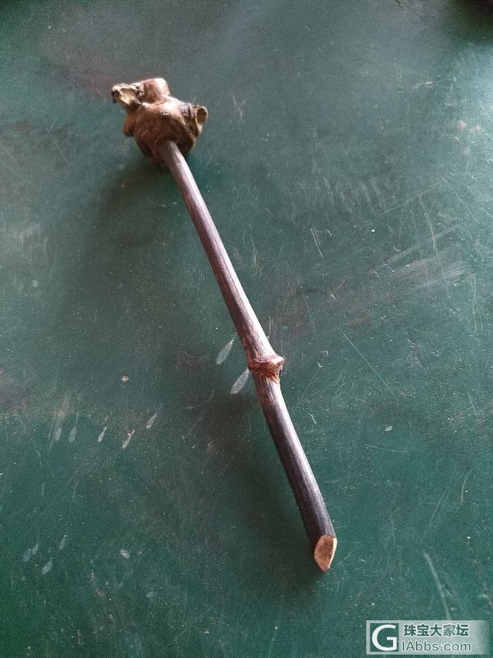 懂行的来看看，这是鸡血藤不_鸡血藤