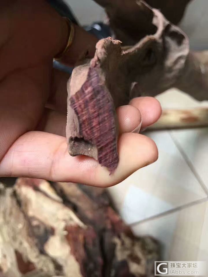 新收的海南黄花梨紫油梨老料，准备做珠子_海南黄花梨