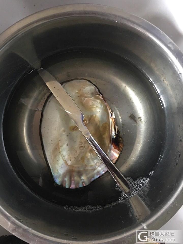 到珍珠哥开的巨无霸，有瑕，哎!_淡水珍珠