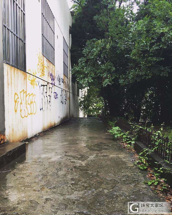 有妈的奶娃娃风雨都不怕啊_猫