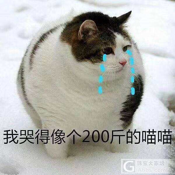 本来想618天猫条子到了一起晒 现在只能先晒唯品会的_传统品牌金