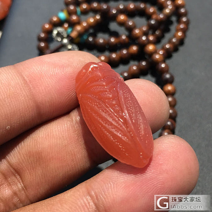 保山南红余庆缘.玉坊_挂件南红