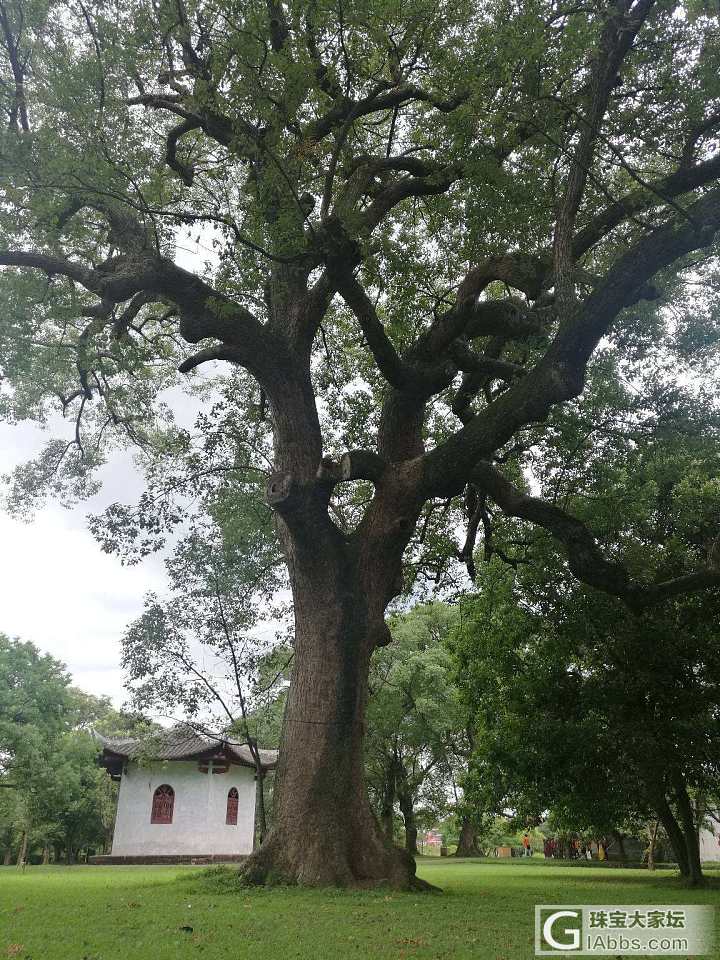 看看这是哪儿？_闲聊