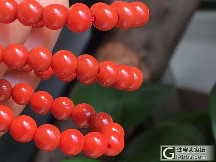 川料小精品_南红