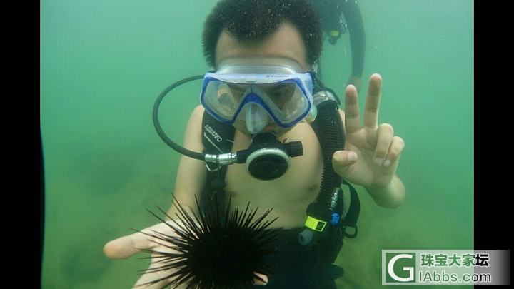 （ '▿ ' ）_水族类摄影