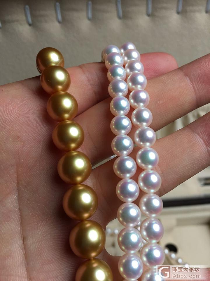 菲律宾浓金项链+日本花珠级Akoya珍珠，放在一起格外美_珍珠