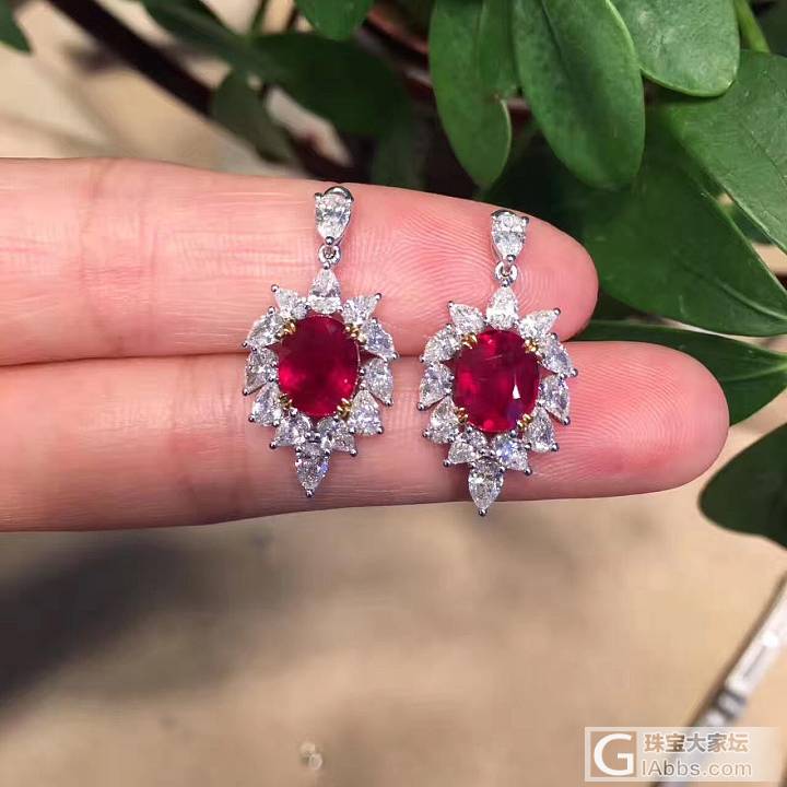 红宝两用耳环，很美噢😊_红宝石耳环