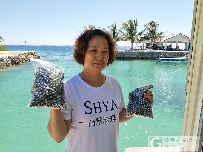 尚雅人在大溪地_集散地海水珍珠