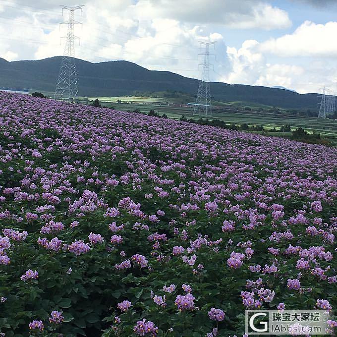 看风景_旅游摄影