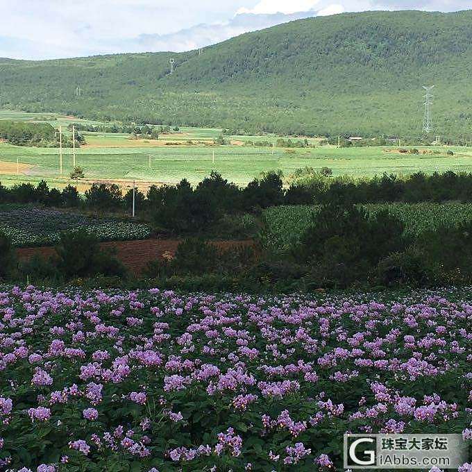 看风景_旅游摄影