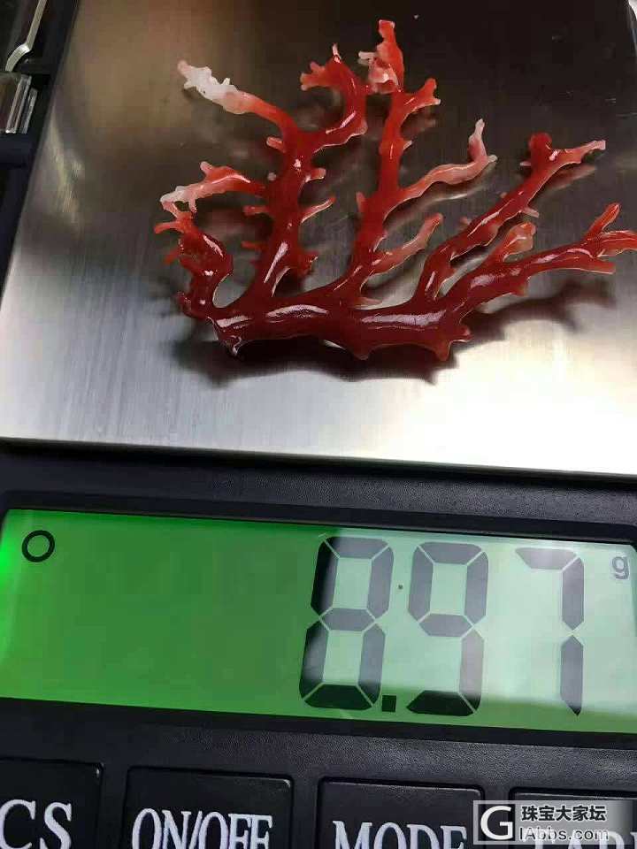 阿卡牛血发财树小摆件，8.97克，枝繁叶茂，火树银花_摆件珊瑚