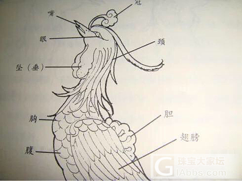 凤和凰_银