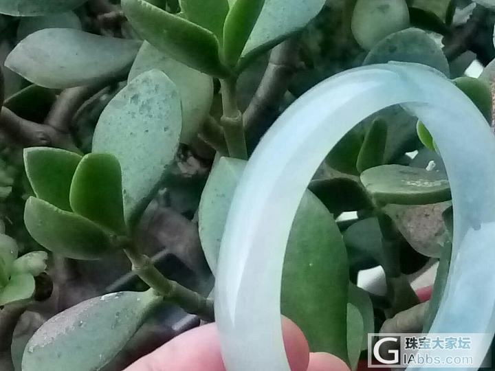 小家悭翠_手镯翡翠