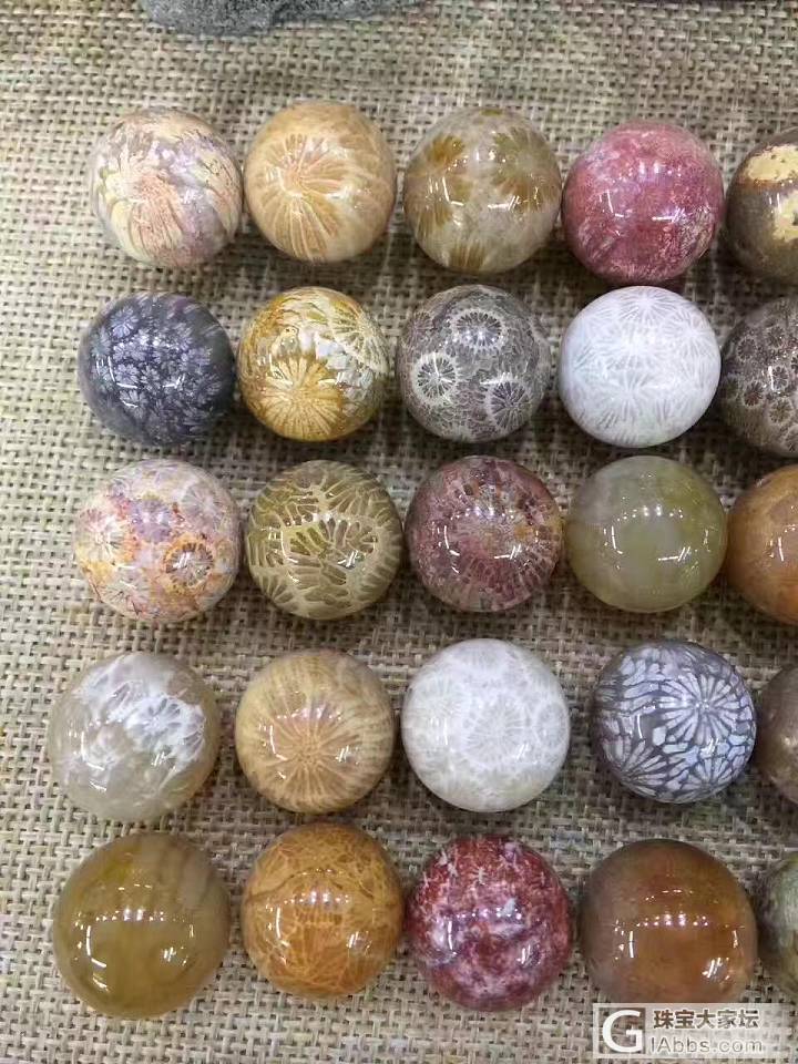 珊瑚玉，很稳重端庄的美、喜欢的jia 微18748307797_珊瑚玉