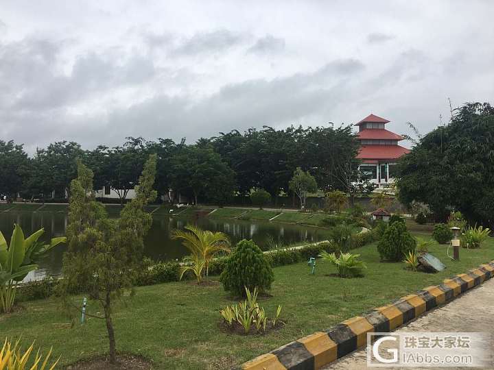 都去缅甸买石头_集散地翡翠缅甸