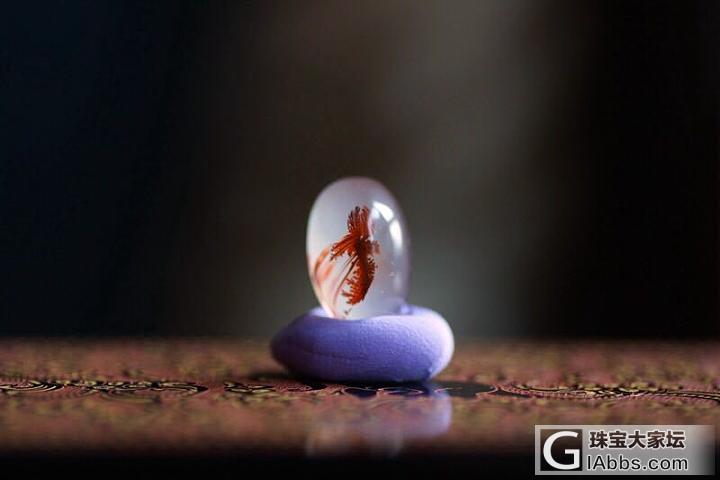 南红冰飘---凤凰涅槃_蛋面南红