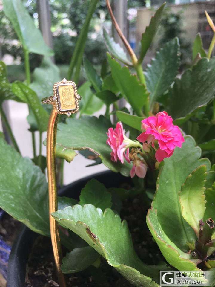 果然开口镯我都留不长_手镯金