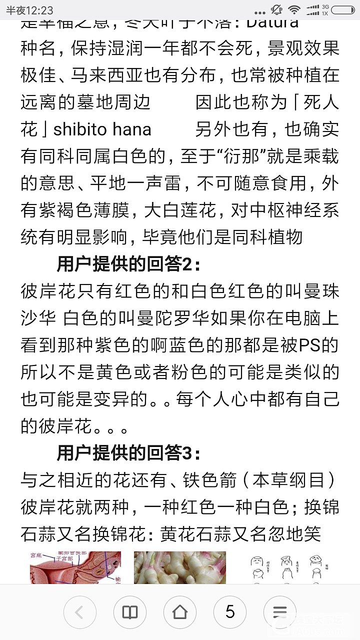 我想做个银镯，一面设计一朵彼岸花，一面设计彼岸花的叶子可好？_手镯银