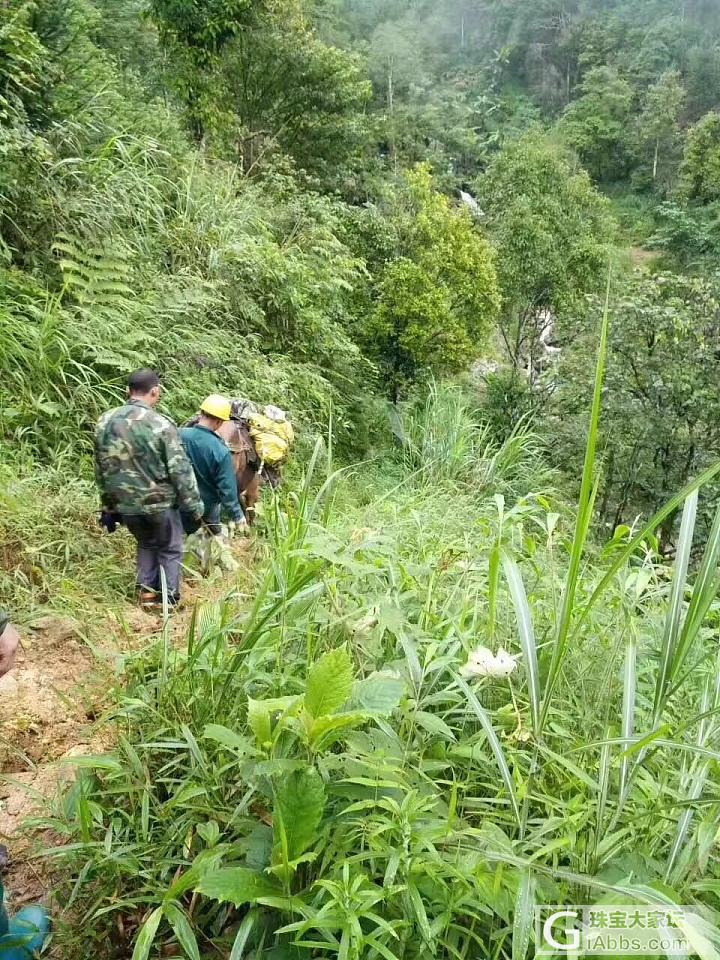 忙了几天 跑了一趟云南_云南祖母绿矿物标本